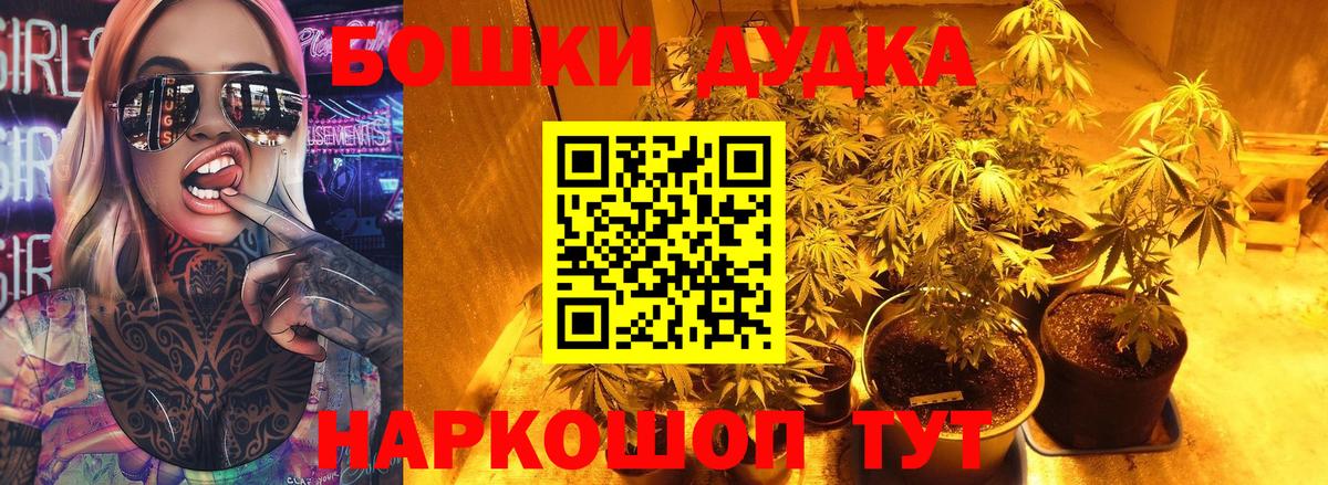 Каннабис сатива Барабинск